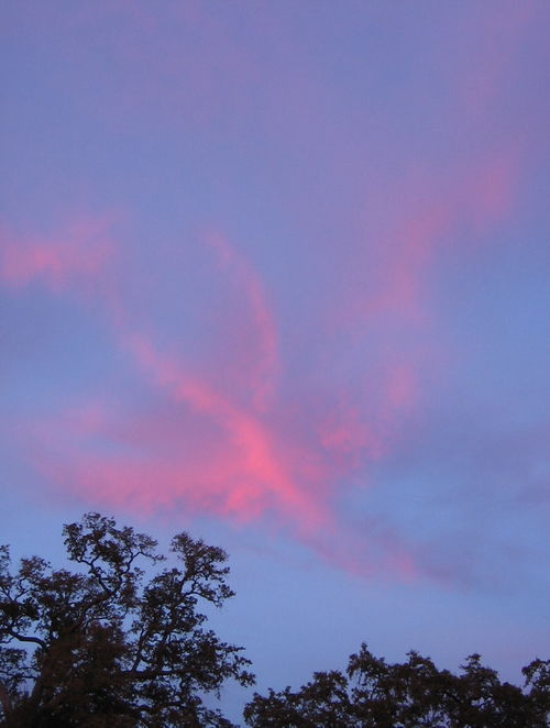 December_Sunsets_0002_cropped