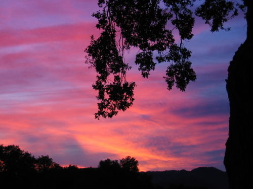 December_Sunsets_0004