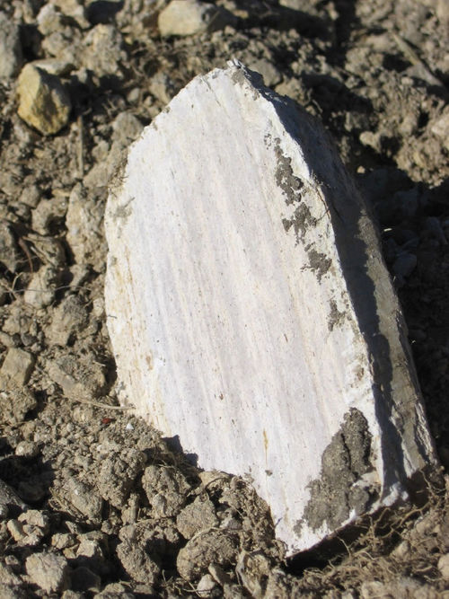 Autumn_2008_vineyard_essay_5_0002