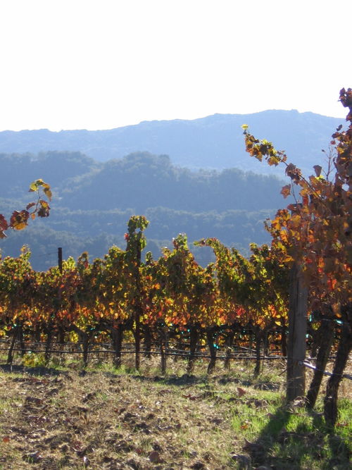 Autumn_2008_Photo_Essay_2_0002