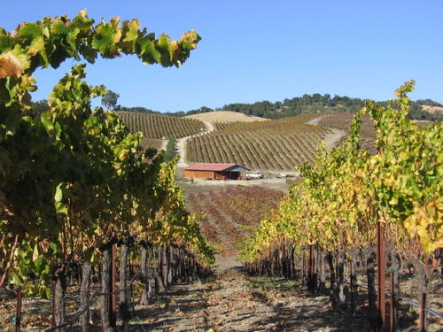 Autumn_2008_Images_30001