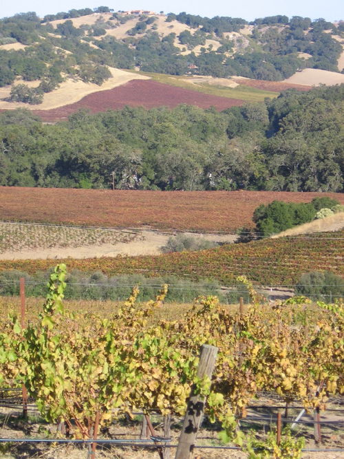 Autumn_2008_Photo_Essay_2_0003