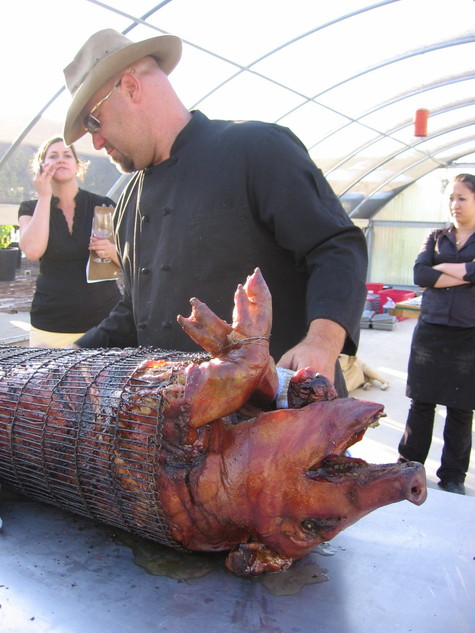 Pigroast_tom_with_pig