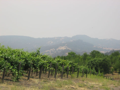 Smoky_day