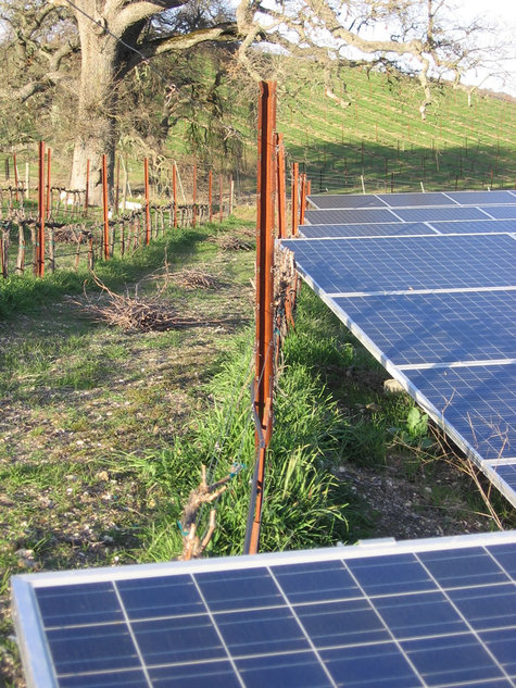 Solar_panels_and_mourvedre