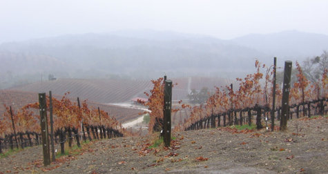 Stormy_morning_1