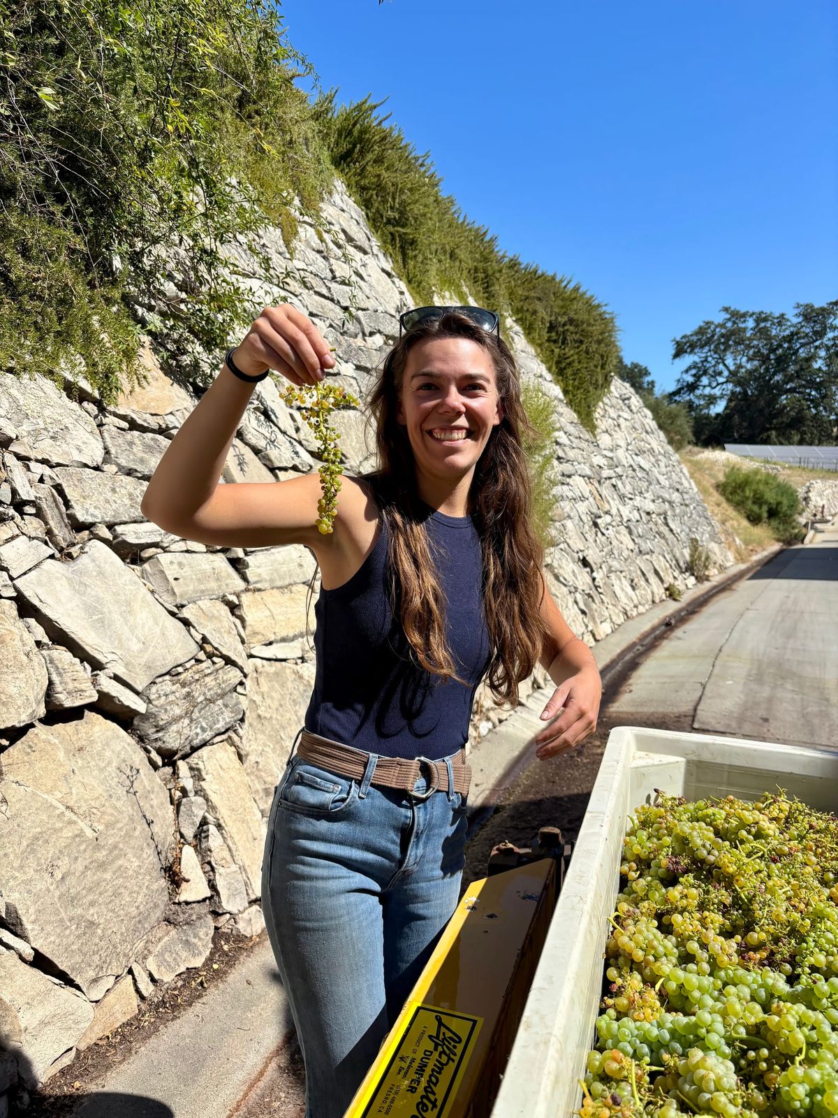 Harvest 2026 begins: How our earliest-ever start also comes with longer-than-average hang time
