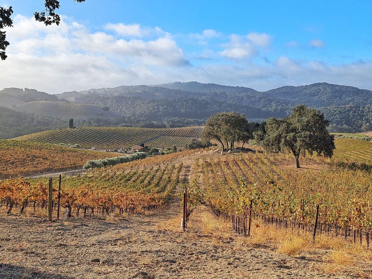 Paso Robles Is Cool, Crisp, and Glowing Right Now, Early Autumn Edition