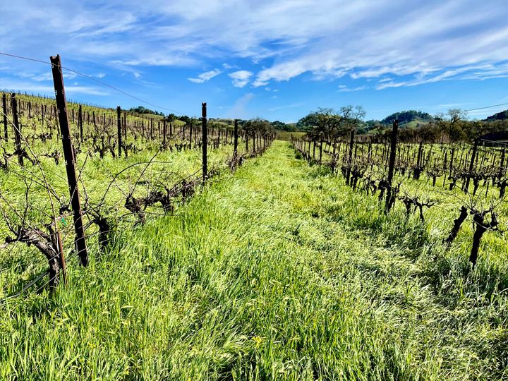 A wet, chilly week gets the 2025-26 winter back on track