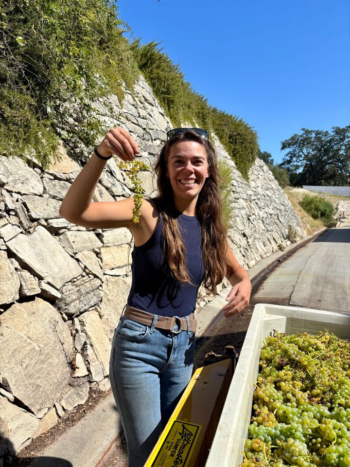 Harvest 2026 begins: How our earliest-ever start also comes with longer-than-average hang time