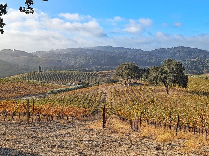 Paso Robles Is Cool, Crisp, and Glowing Right Now, Early Autumn Edition