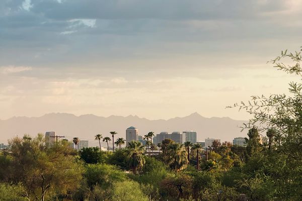 Field report: the Arizona Canal gets four of four paws