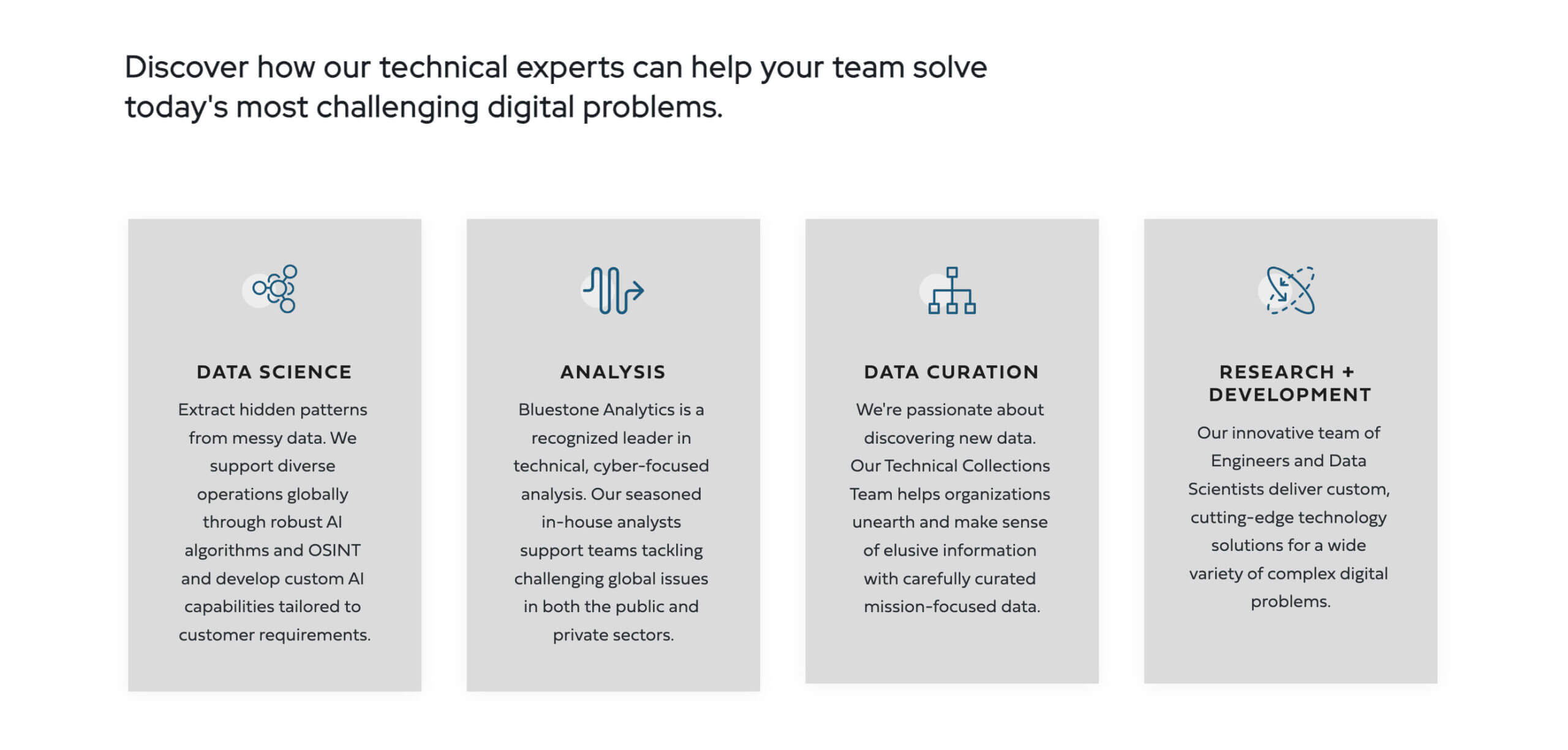A screenshot from the Bluestone Analytics website outlining some of their main services.