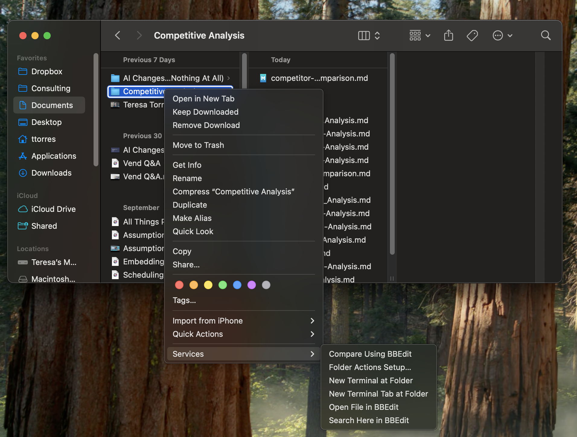A screenshot of a user right-clicking on a Mac folder and then selecting Services and then New Terminal at Folder