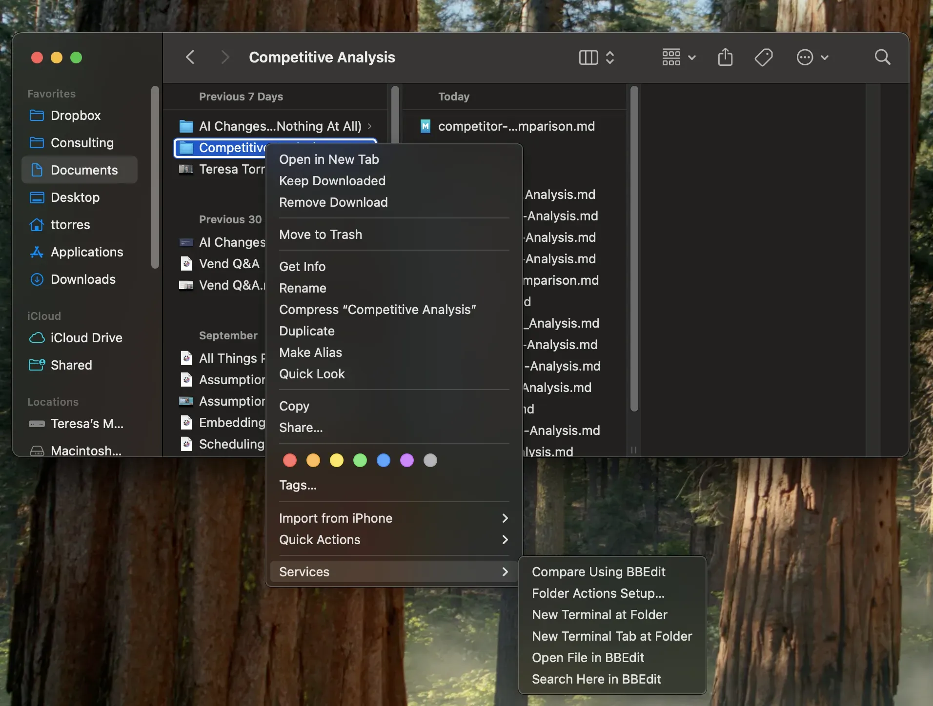 A screenshot of a user right-clicking on a Mac folder and then selecting Services and then New Terminal at Folder