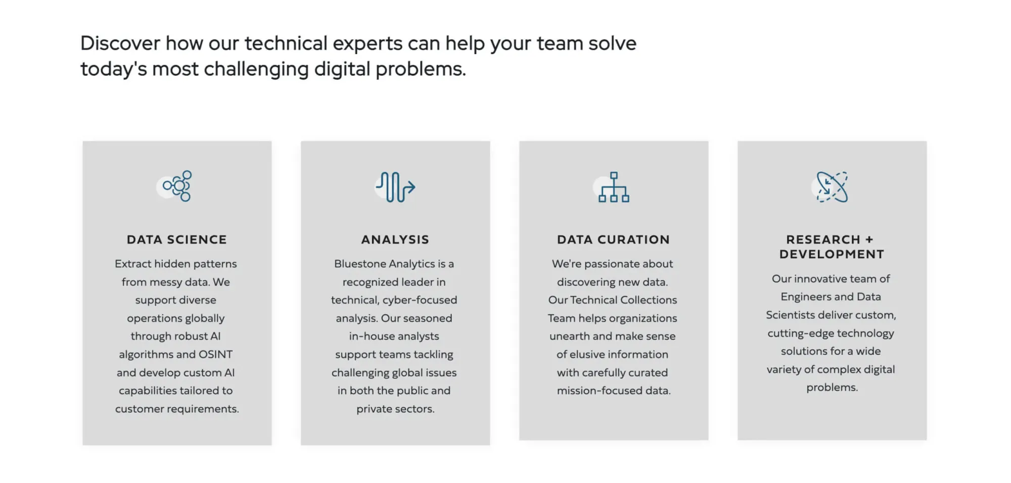 A screenshot from the Bluestone Analytics website outlining some of their main services.