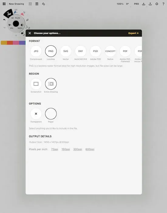 A screenshot of the Concepts app displaying options for exporting the image.