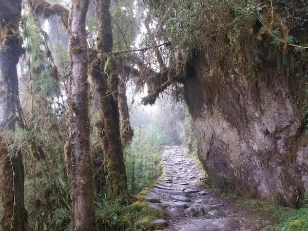 Why Most Product Teams Don't Define a Clear Vision