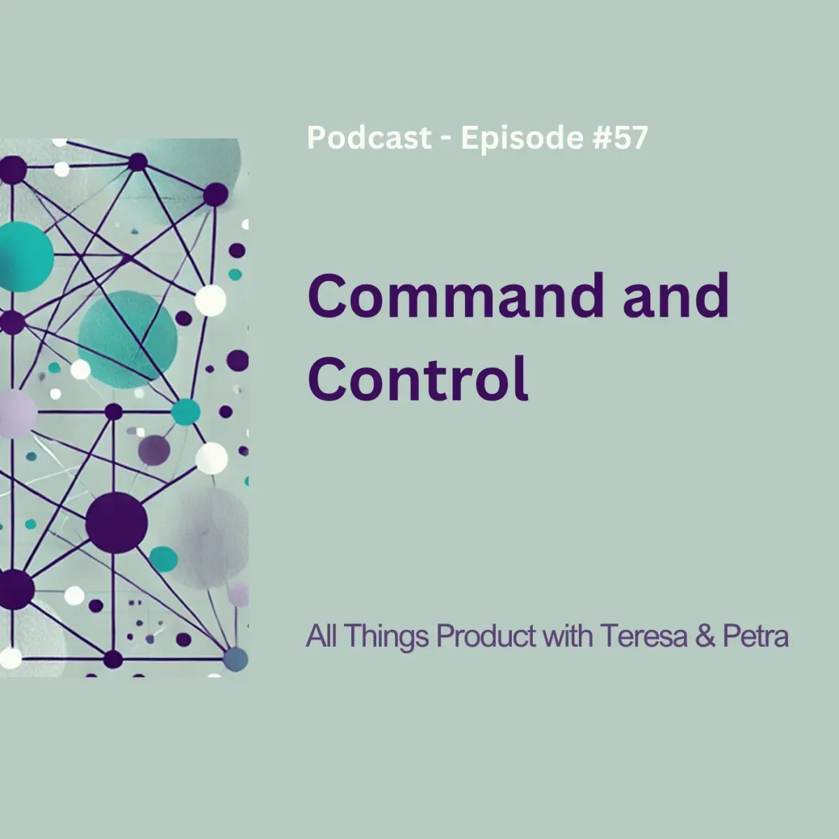 Command and Control - All Things Product Podcast with Teresa Torres & Petra Wille