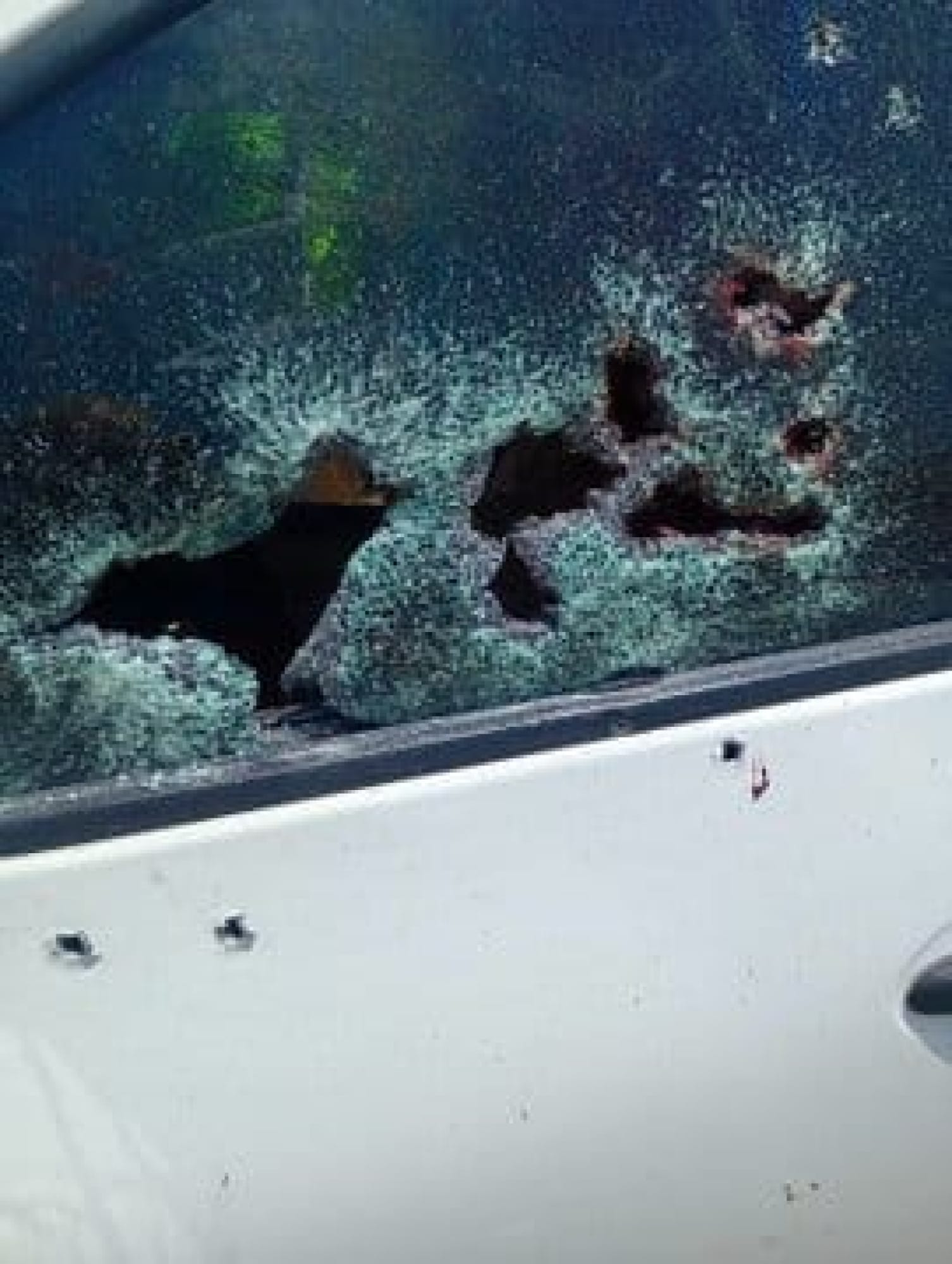 ¡ASESINAN A EXALCALDE DE IGUALAPA, GUERRERO!
