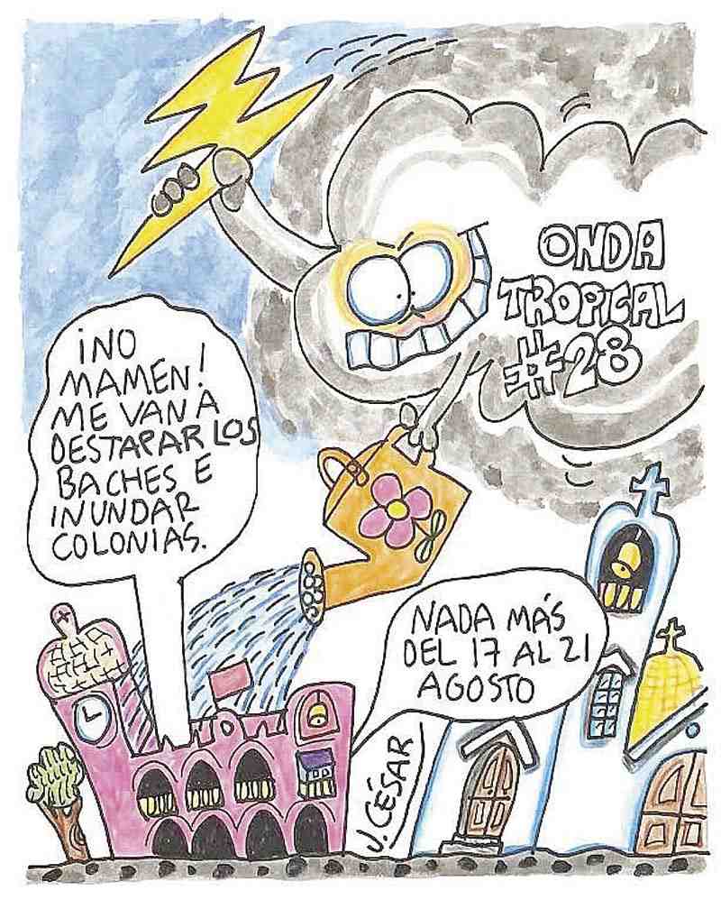 LOS CARTONES