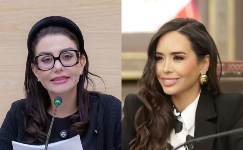 ¡MORENA SUSPENDE TEMPORALMENTE A SALVATORI Y PALOMARES POR DICHOS SOBRE ADULTOS MAYORES!