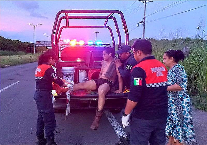 ¡ATACA JABALÍ SALVAJE A ACTIVISTA EN ANTÓN LIZARDO!