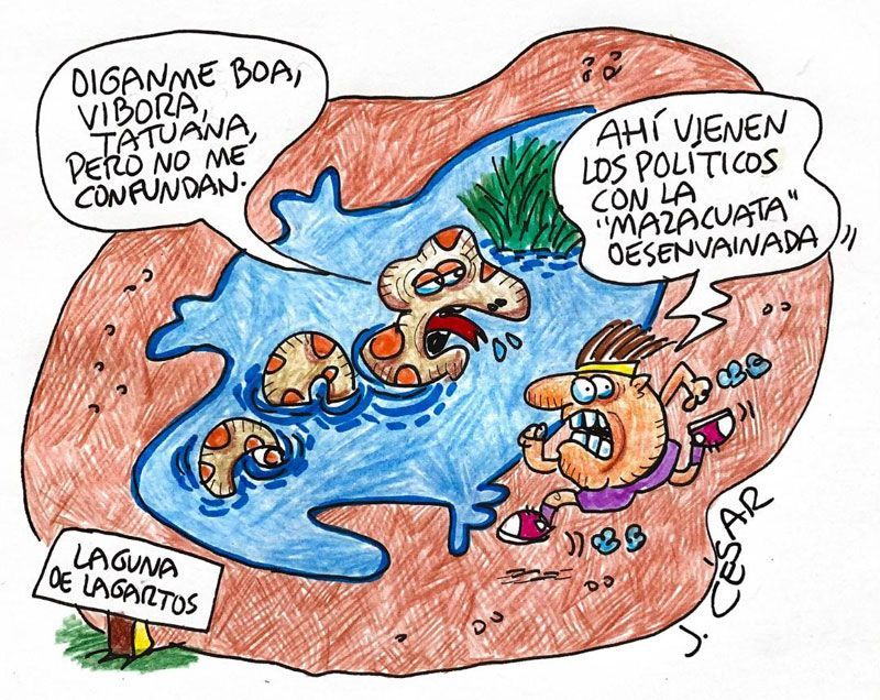 LOS CARTONES