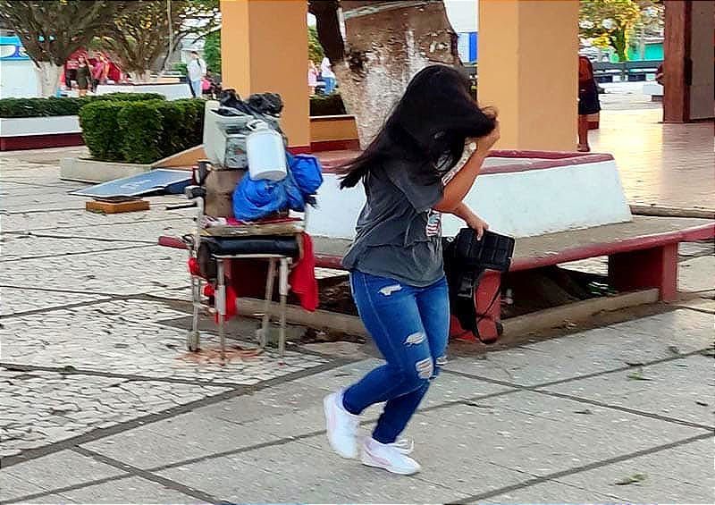 ¡ATAQUE MASIVO DE ABEJAS! -Más de 20 Personas Fueron Picadas en un Parque de Coatzacoalcos