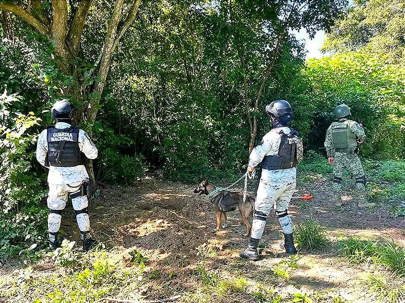 ¡OTRO MACABRO HALLAZGO! -*Tres Fosas Clandestinas... de 12 a 15 Cuerpos