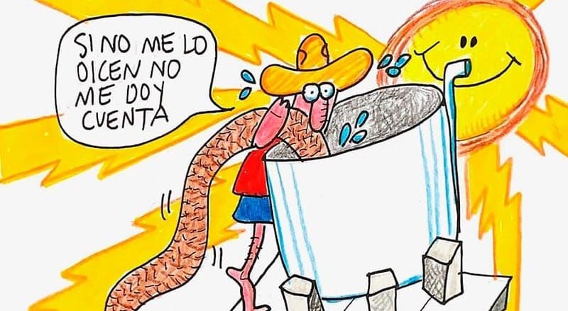 LOS CARTONES