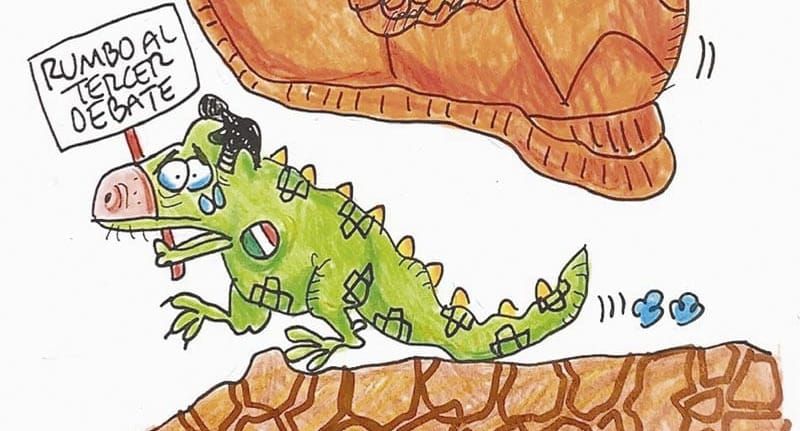 LOS CARTONES
