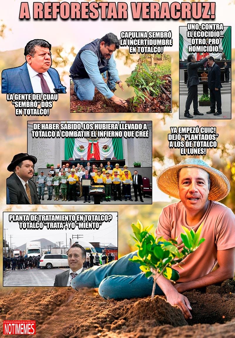 NOTI-MEME | - A REFORESTAR VERACRUZ!
