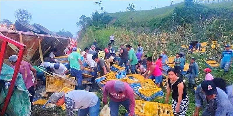 ¡PESTAÑAZO EN LA CHOAPAS! - *NO QUEDÓ NI UN POLLO