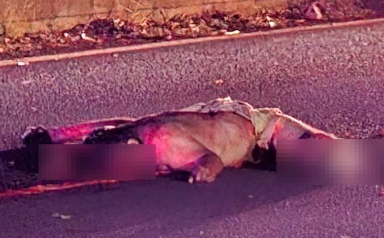 ¡“JINETE DE ACERO” PIERDE LA VIDA EN SAN ANDRÉS TUXTLA!