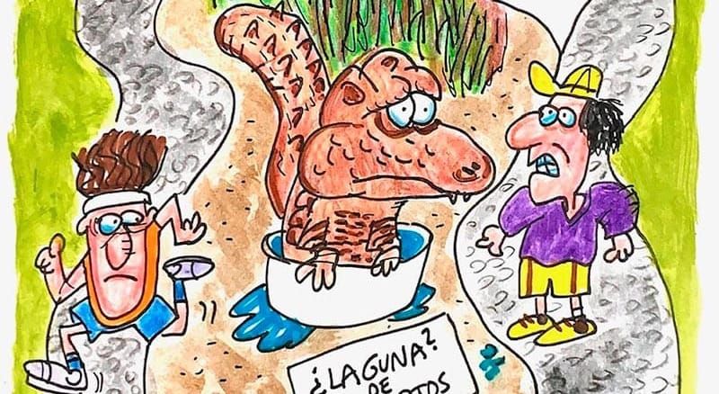LOS CARTONES