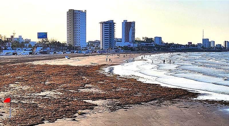 ¡TONELADAS DE BASURA TRAE EL JAMAPA!