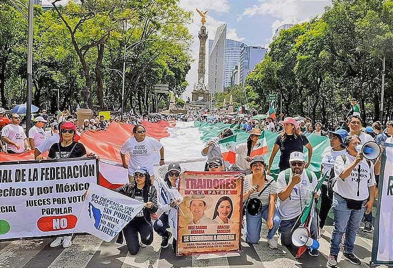 ¡LE PONEN LUPA A 43 SENADORES! - CHA CHA CHAN...