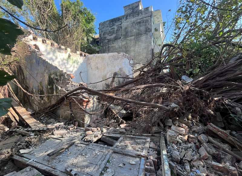¡NORTAZO TIRÓ ENORME ÁRBOL EN EL CENTRO HISTÓRICO!