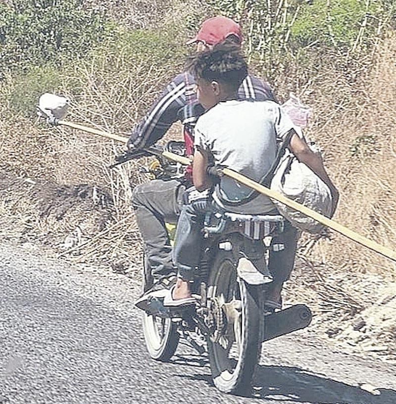¡AHORA, LIMONEROS TEMEN A LOS CAMPOS MINADOS!