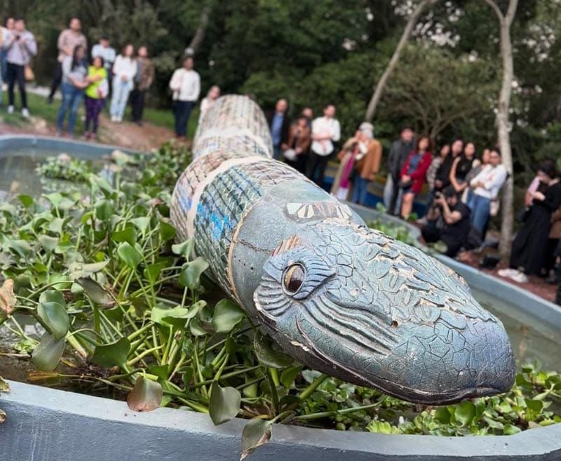 ¡REGRESAN A COATL!