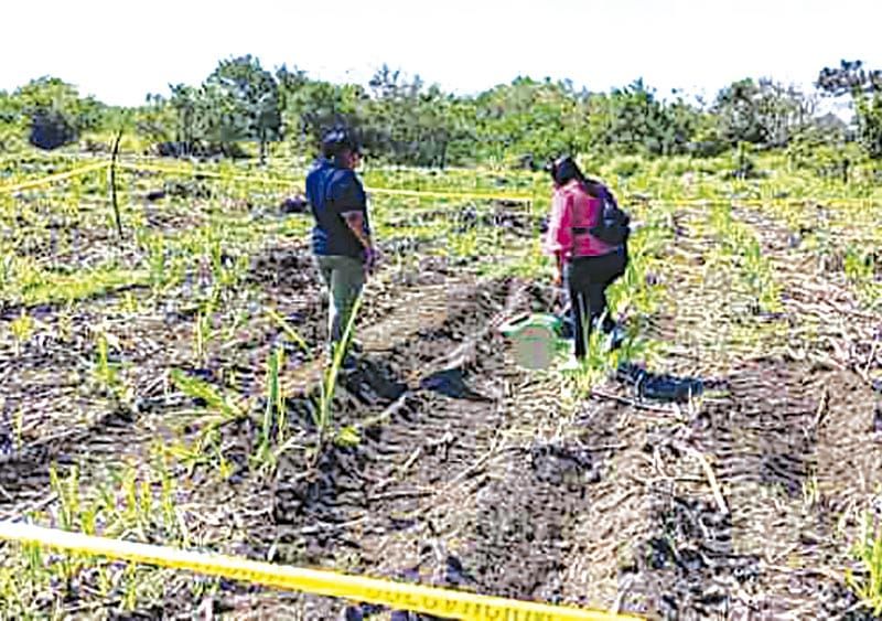 ¡APARECE EN UN CAÑAL!