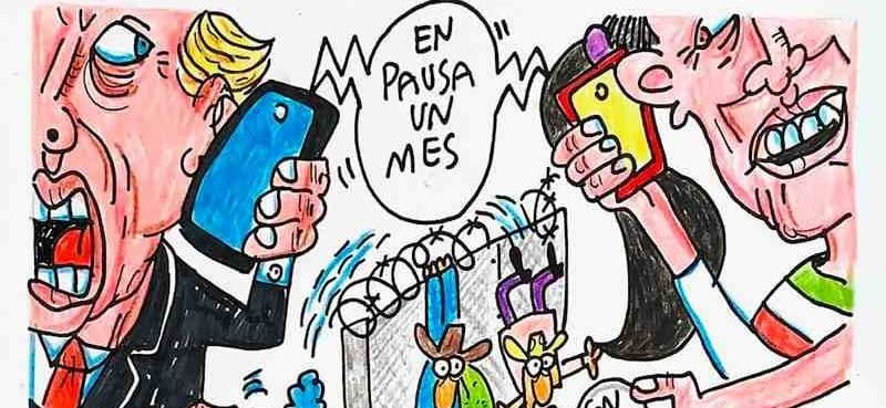 LOS CARTONES