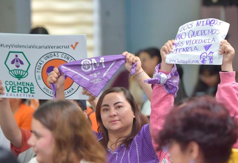 ¡NO ESTÁN SOLAS! - Y APRUEBAN LEY VICARIA
