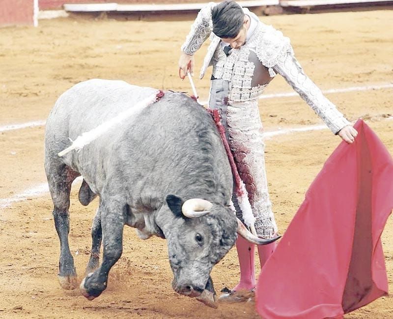 ¡QUITAN FRENO A VOTACIÓN DE PROHIBICIÓN DE TAUROMAQUIA!