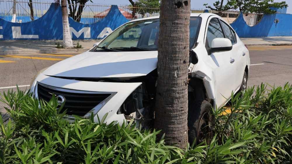 ¡SE ESTRELLA CONTRA PALMERA EN EL BULE! -  EN VILLA DEL MAR