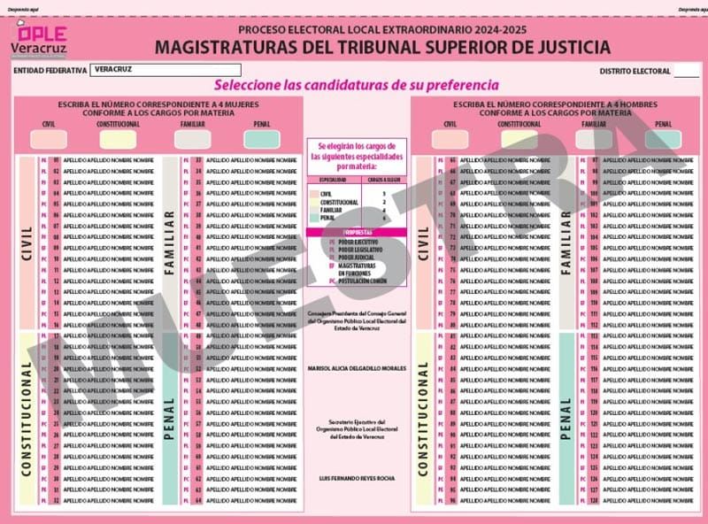 ¡BOLETAS-GATE! - LO QUE FALTABA