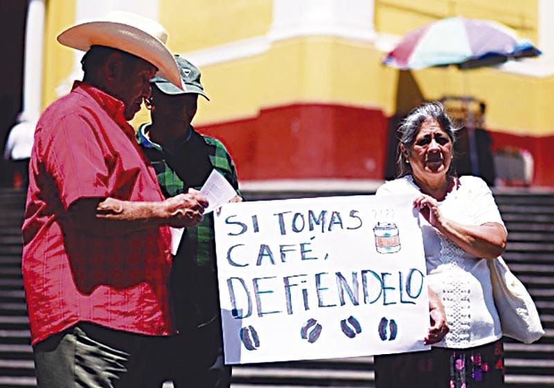 ¡TRANSNACIONALES QUIEREN QUE LOS PRODUCTORES DE CAFÉ PAGUEN COSTO DE ARANCELES EN EU!