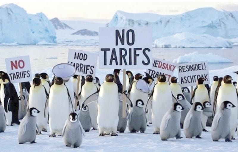 ¡LE PONEN ARANCELES A ISLA HABITADA... ¡POR PINGÜINOS!