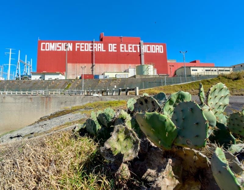 ¡30 AÑOS DE CHERNOVERDE 2!